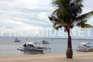1892836289_hZu7LlFi_travel30_ad.jpg